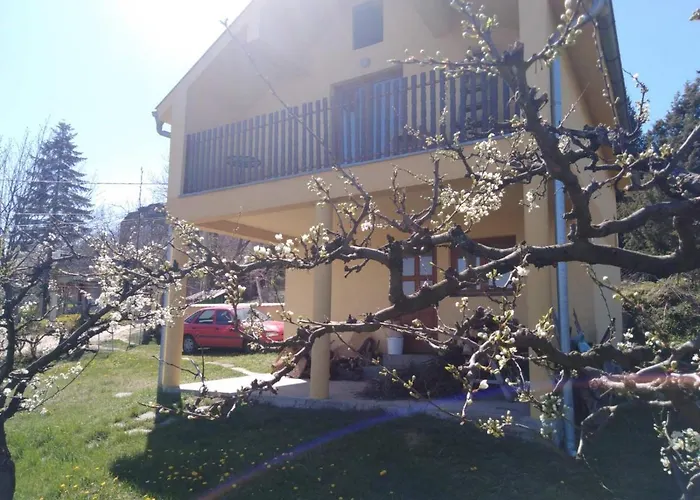 Dedinje