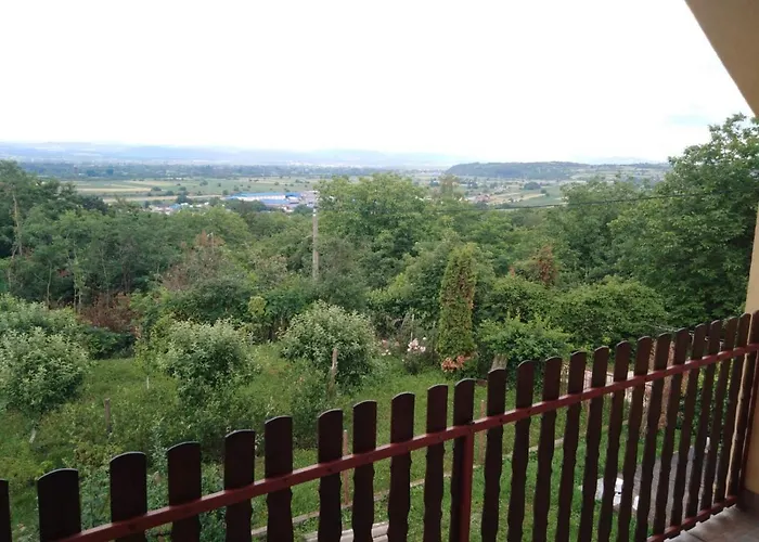 Dedinje