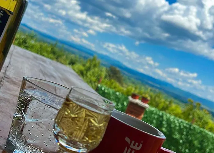 Dedinje
