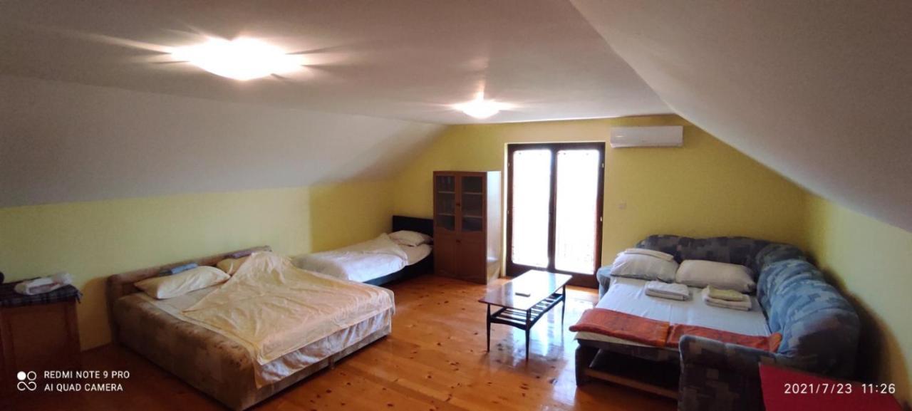 Dedinje *